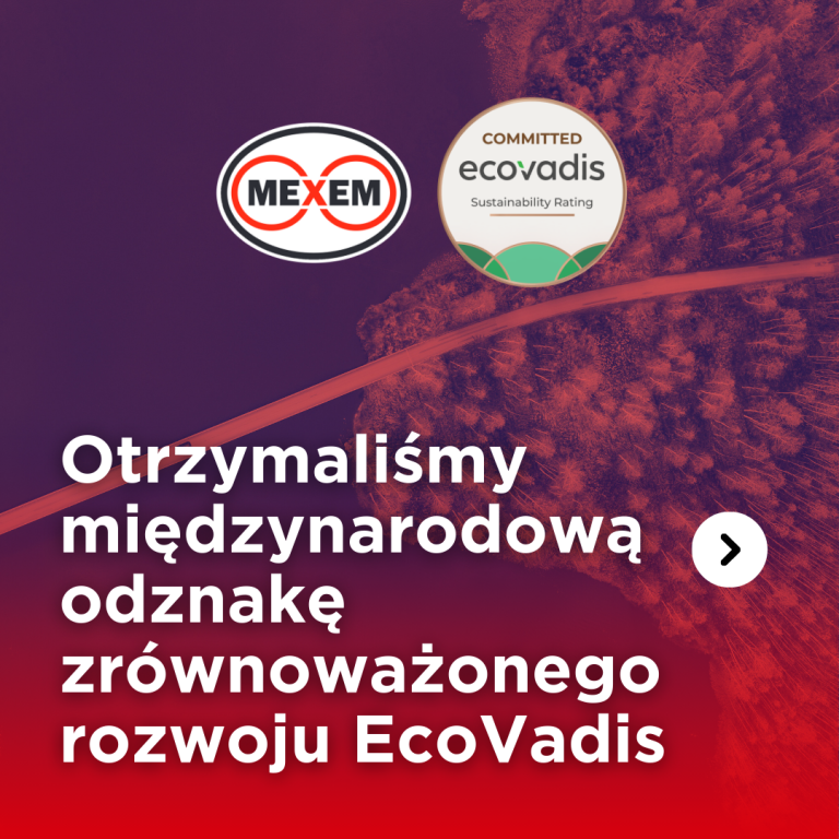 Otrzymaliśmy odznakę zrównoważonego rozwoju EcoVadis
